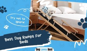 Best Dog Ramps For Beds