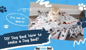 DIY Dog Bed