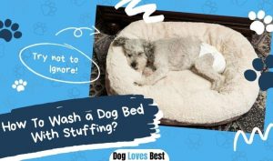 How To Wash a Dog Bed With Stuffing