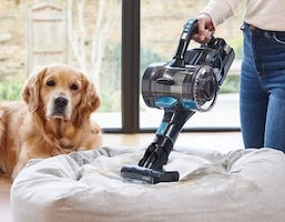 vacuuming a dog bed