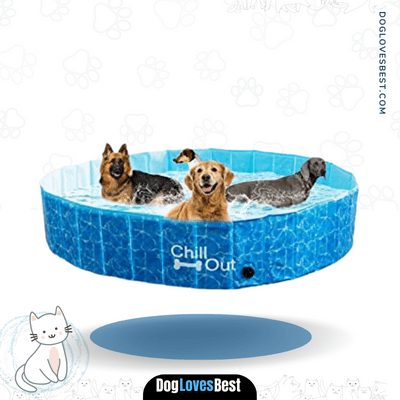 ALL FOR PAWS Outdoor Bathing Dog Pool