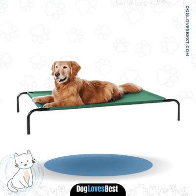 AmazonBasics Elevated Cooling Pet Bed