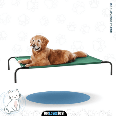  AmazonBasics Elevated Cooling Pet Bed