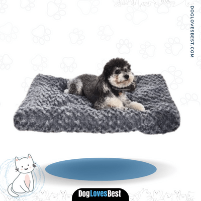 AmazonBasics Plush Dog Pet Bed Pad