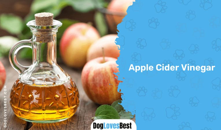 Apple Cider Vinegar