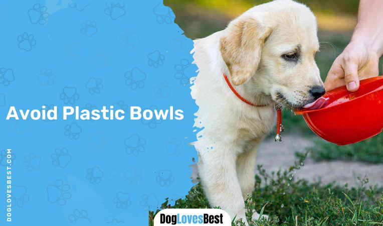  Avoid Plastic Bowls