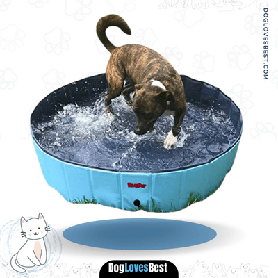  BINGPET Large Dog Swimming Pool Pet
