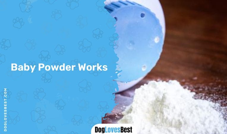  Baby Powder Works!