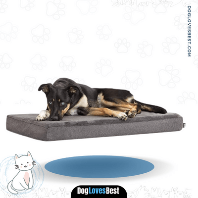  BarkBox Memory Foam Dog Bed