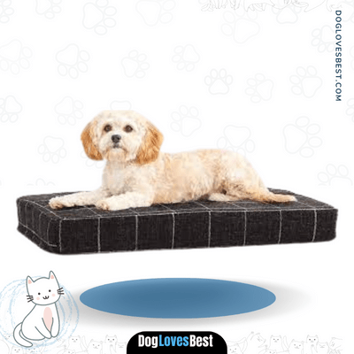 BarkBox Memory Foam Dog Bed