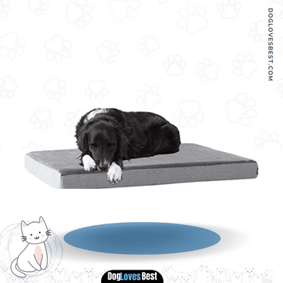 BarkBox Memory Foam Dog Bed