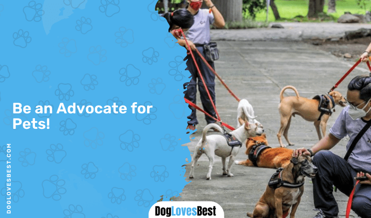 Be an Advocate for Pets