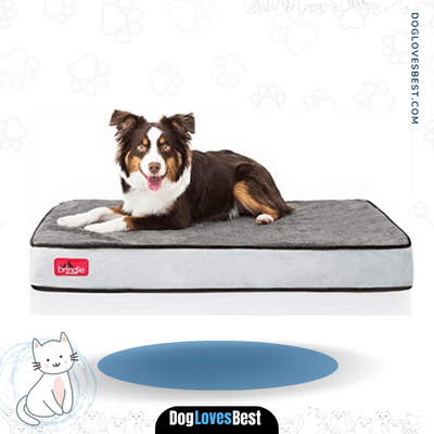 Brindle Waterproof Designer Memory Foam Cheap Dog Bed