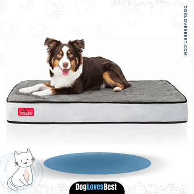 Brindle Waterproof Designer Memory Foam Pet Bed