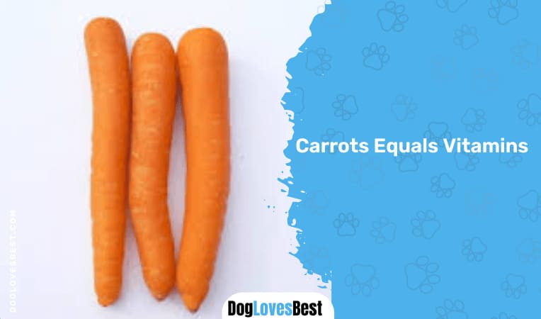 Carrots Equals Vitamins