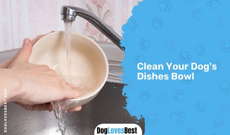 Clean Your Dog's Dishes Bowl