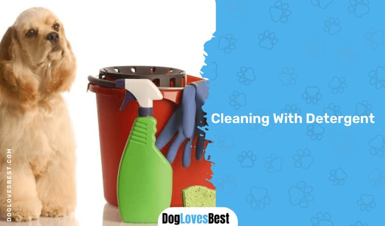 Cleaning With Detergent