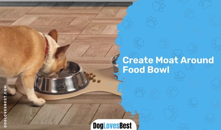 Create Moat Around Food Bowl