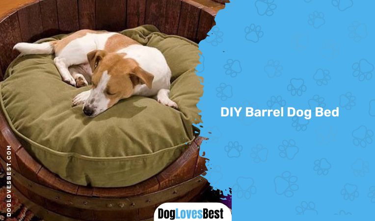 DIY Barrel Dog Bed