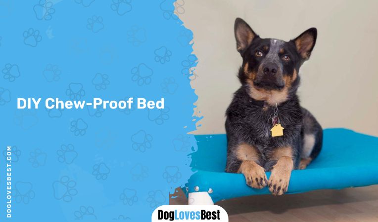DIY Chew-Proof Bed