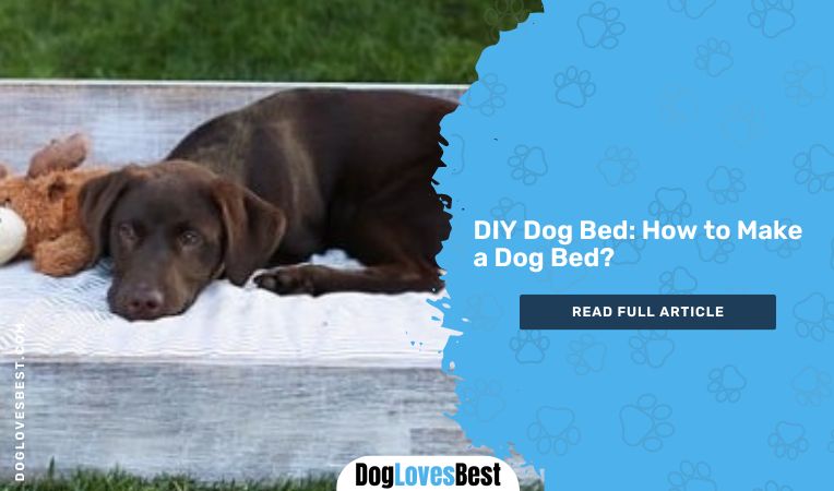 DIY Dog Bed: How to Make a Dog Bed