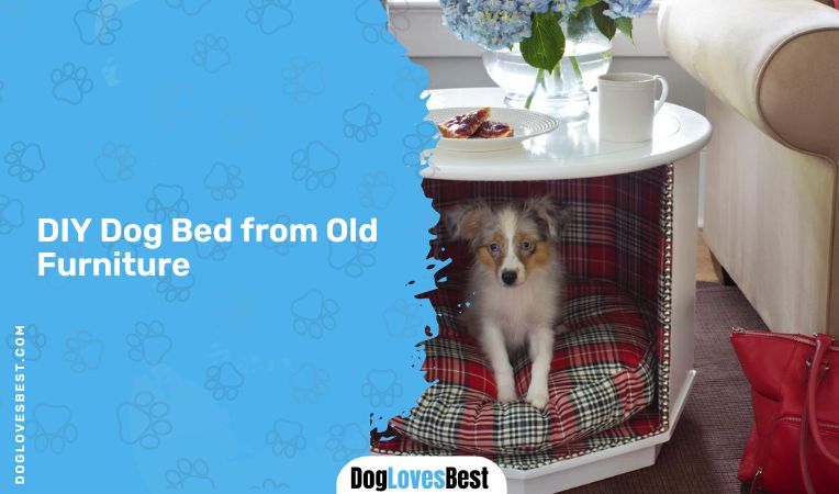  DIY Dog Bed from Old Furniture