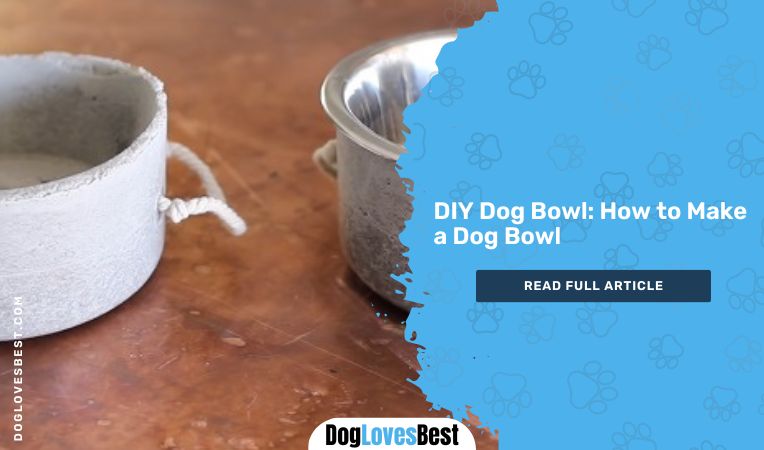 DIY Dog Bowl: How to Make a Dog Bowl