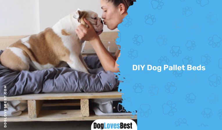 DIY Dog Pallet Beds