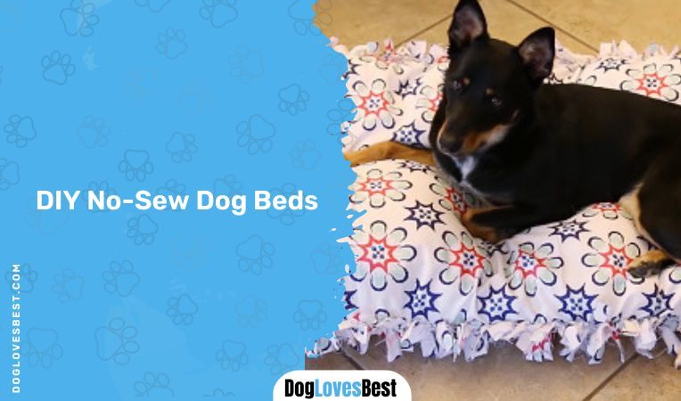 DIY No-Sew Dog Beds