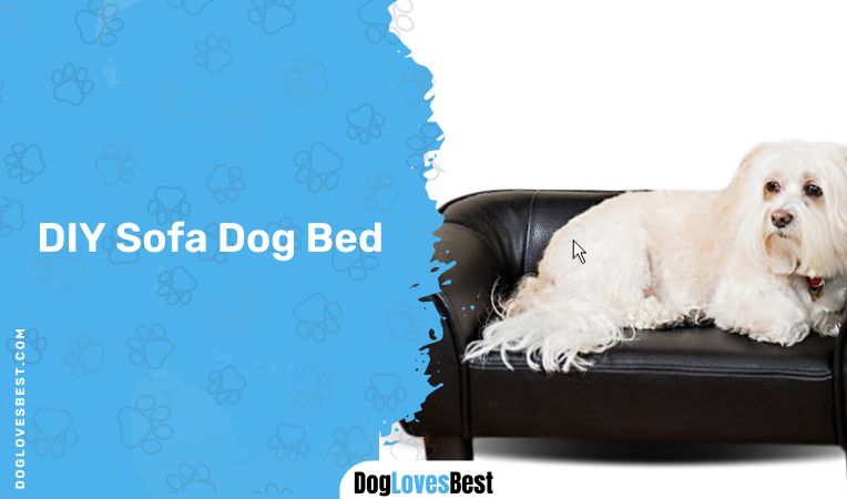 DIY Sofa Dog Bed 