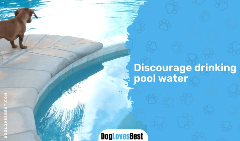 Discourage drinking pool water