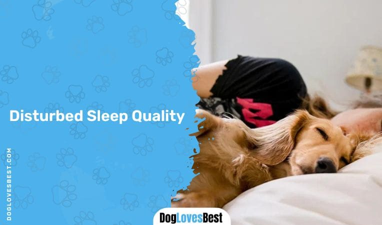 Disturbed Sleep Quality