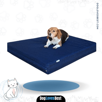 Dogbed4less Premium Memory Foam Dog Bed 