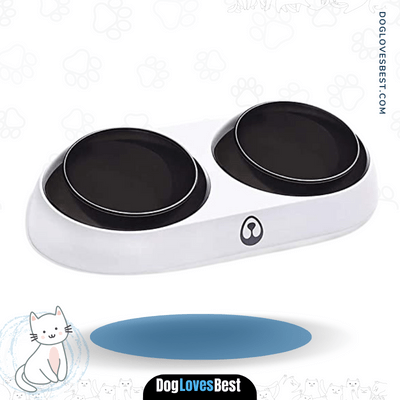 DotPet Elevated Double Dog Bowls