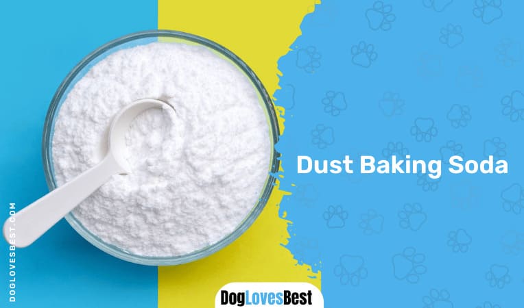 Dust Baking Soda