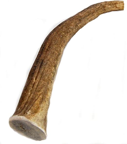 Elk Antler Dog Chew for Large and Extra Large Dogs 