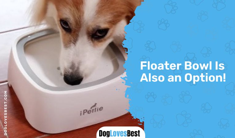 Floater Bowl Is Also an Option