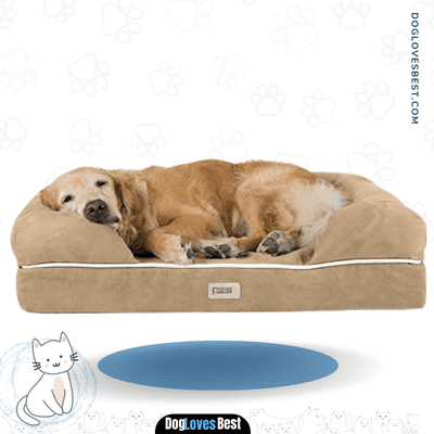 Friends Forever Orthopedic Dog Bed Lounge Sofa