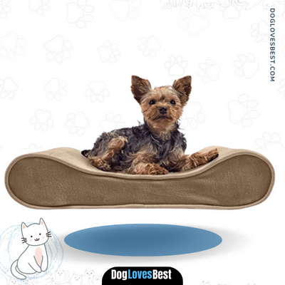 Furhaven Pet Affordable Dog Bed