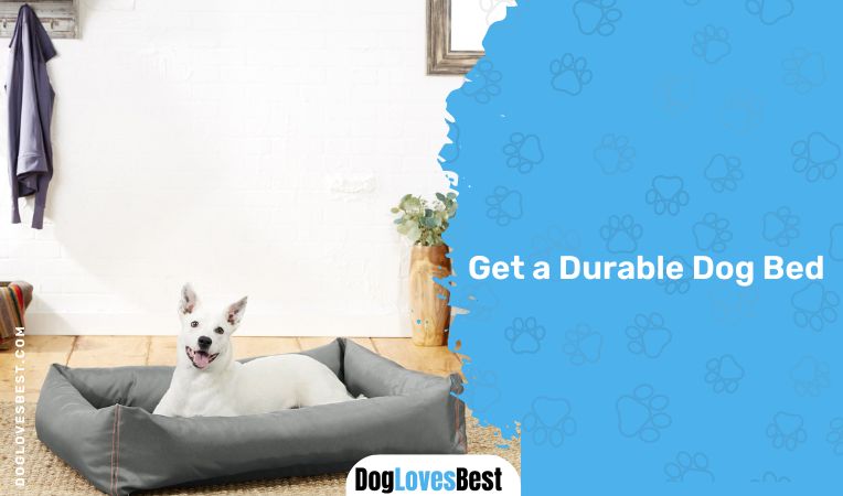  Get a Durable Dog Bed