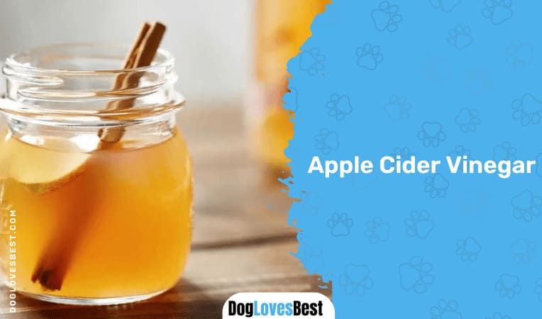 Give Apple Cider Vinegar a Try