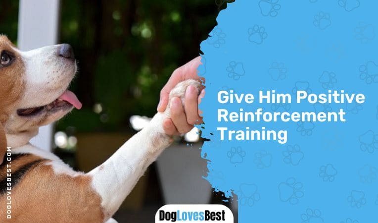 Give Him Positive Reinforcement Training