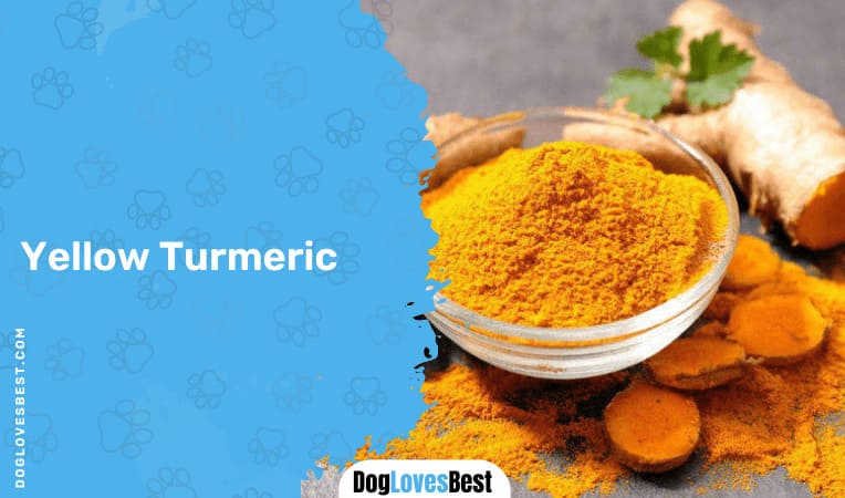 Go for Yellow Turmeric