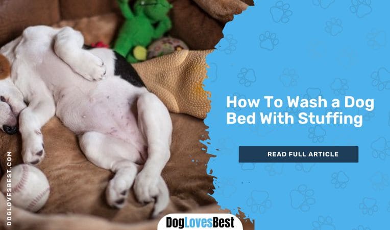 How To Wash a Dog Bed With Stuffing