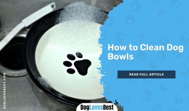 How to Clean Dog Bowls