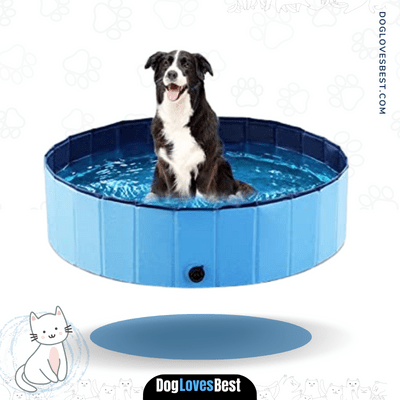 Jasonwell Foldable Dog Pet Bath Pool