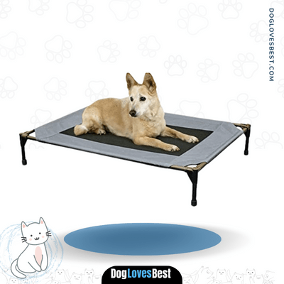 K&H Pet Products Original Pet Cot Elevated Dog Bed 