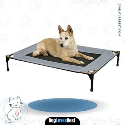  K&H Pet Products Original Pet Cot