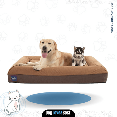 Laifug Orthopedic Memory Foam Large Sofa Pet Bed