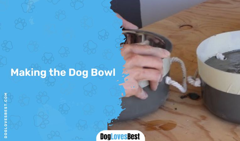 Making the Dog Bowl